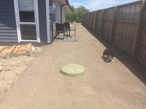New lawn in Christchurch