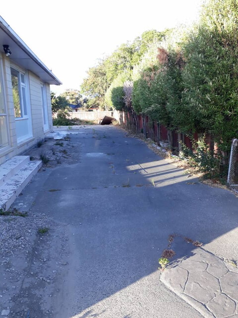 Before photo - tree and fence removal