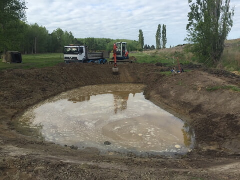 New small duck pond for small lifestyle block, Christchurch