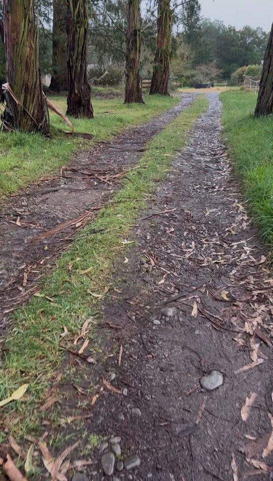 Rural Driveway Rebuild and Drainage in Eyrewell