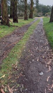 Rural Driveway Rebuild and Drainage in Eyrewell